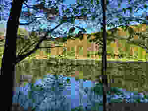 Picture of a small pond in the woods