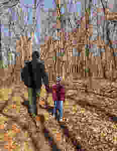 The author walking in the woods, holding the hand of his young grand-neice