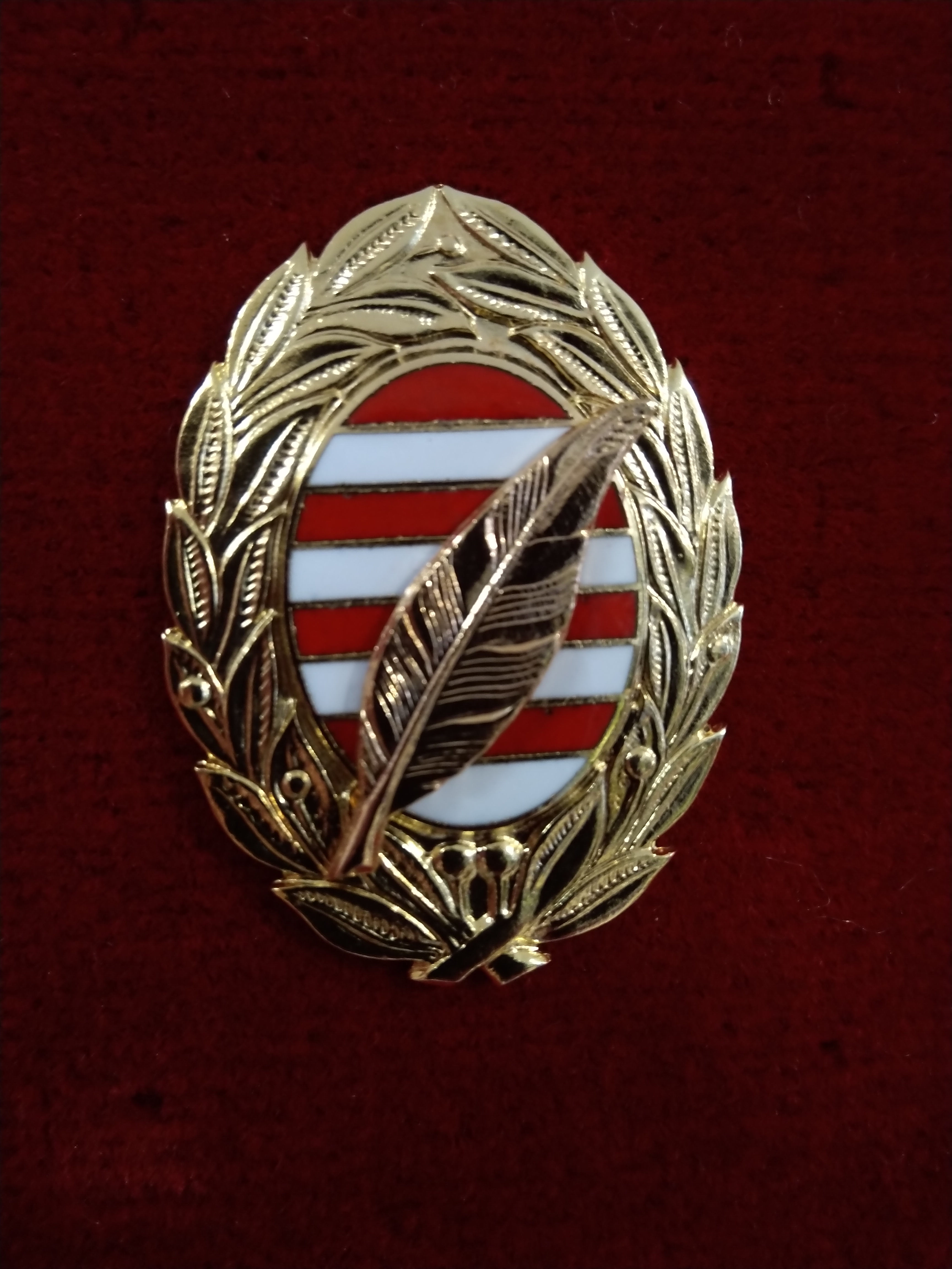 ER Iskolai végzettséget jelölő jelvény