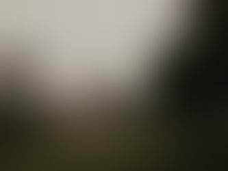 NY couple running in a foggy meadow