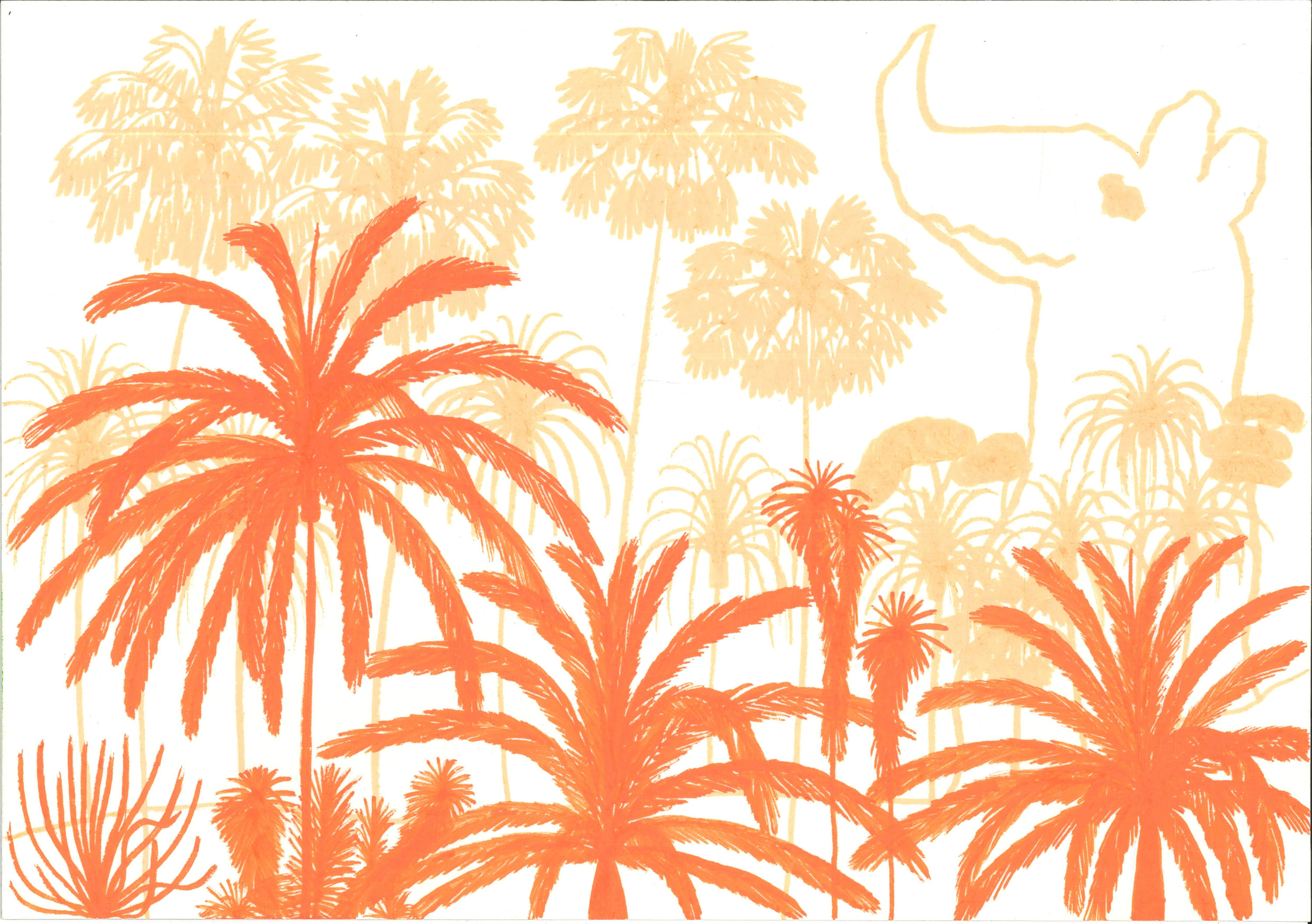 Rino Valley Palm Grove