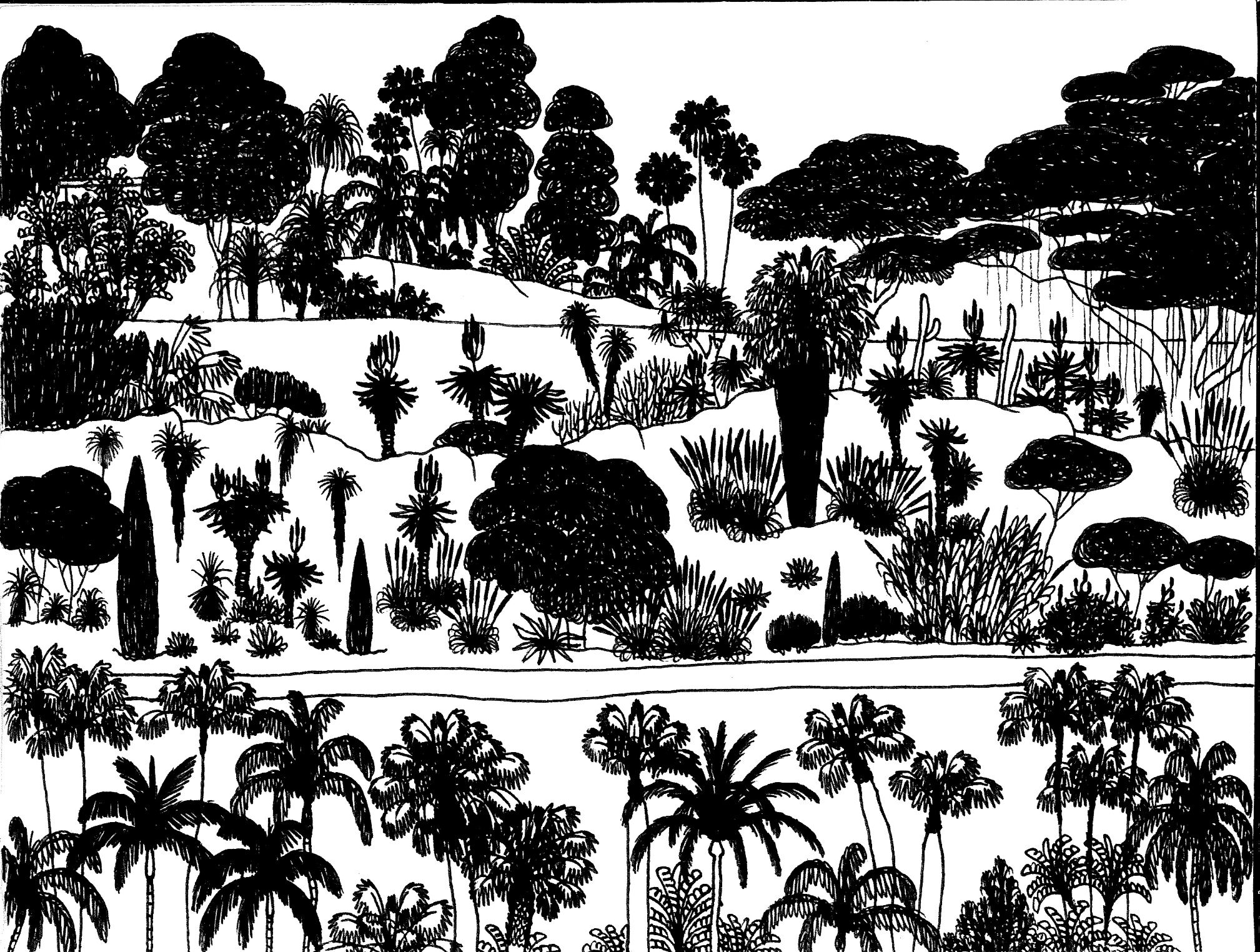 Jalur kebon Barranco Aloes