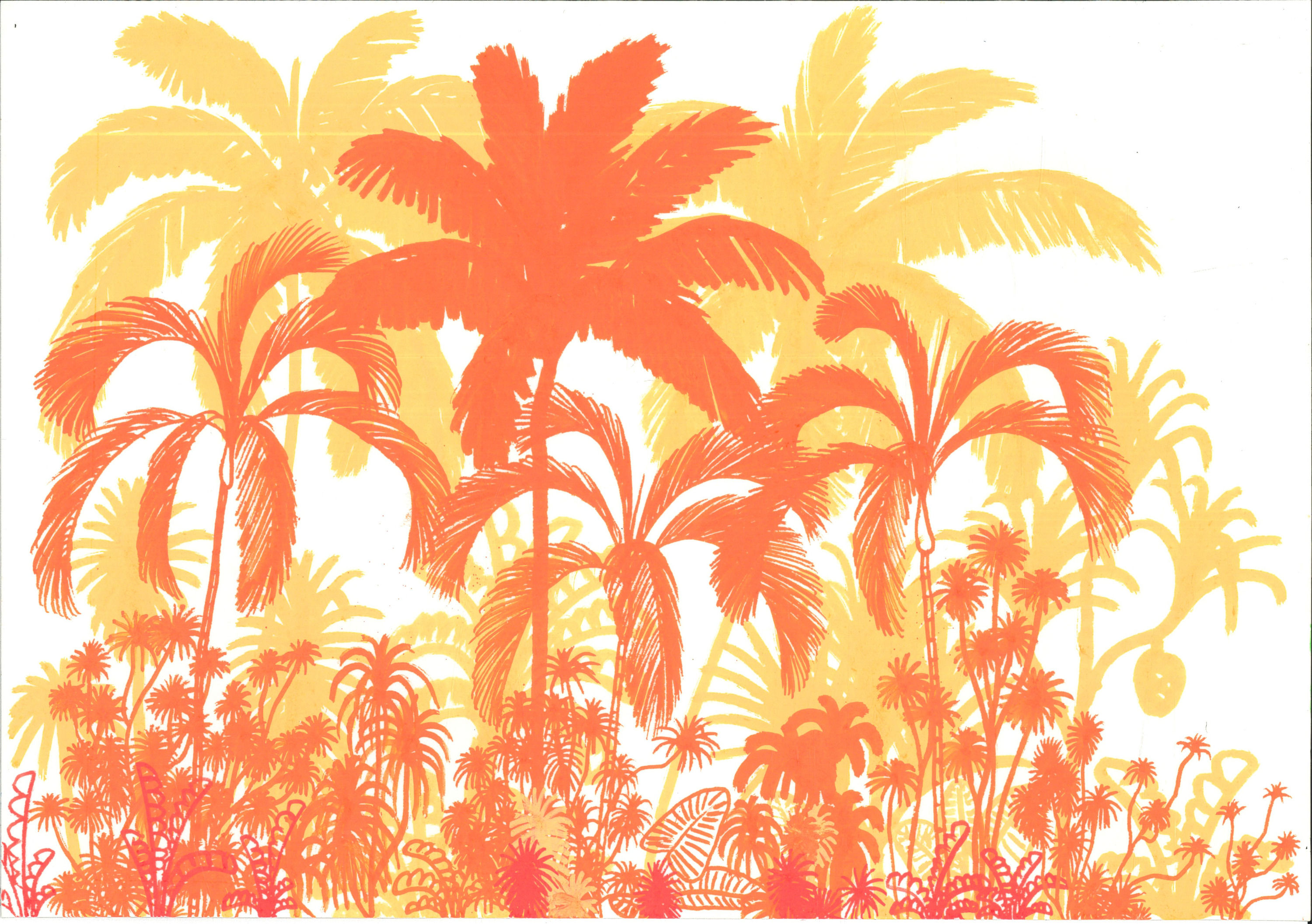 Oasis Tropical, Cocos y Dracaena