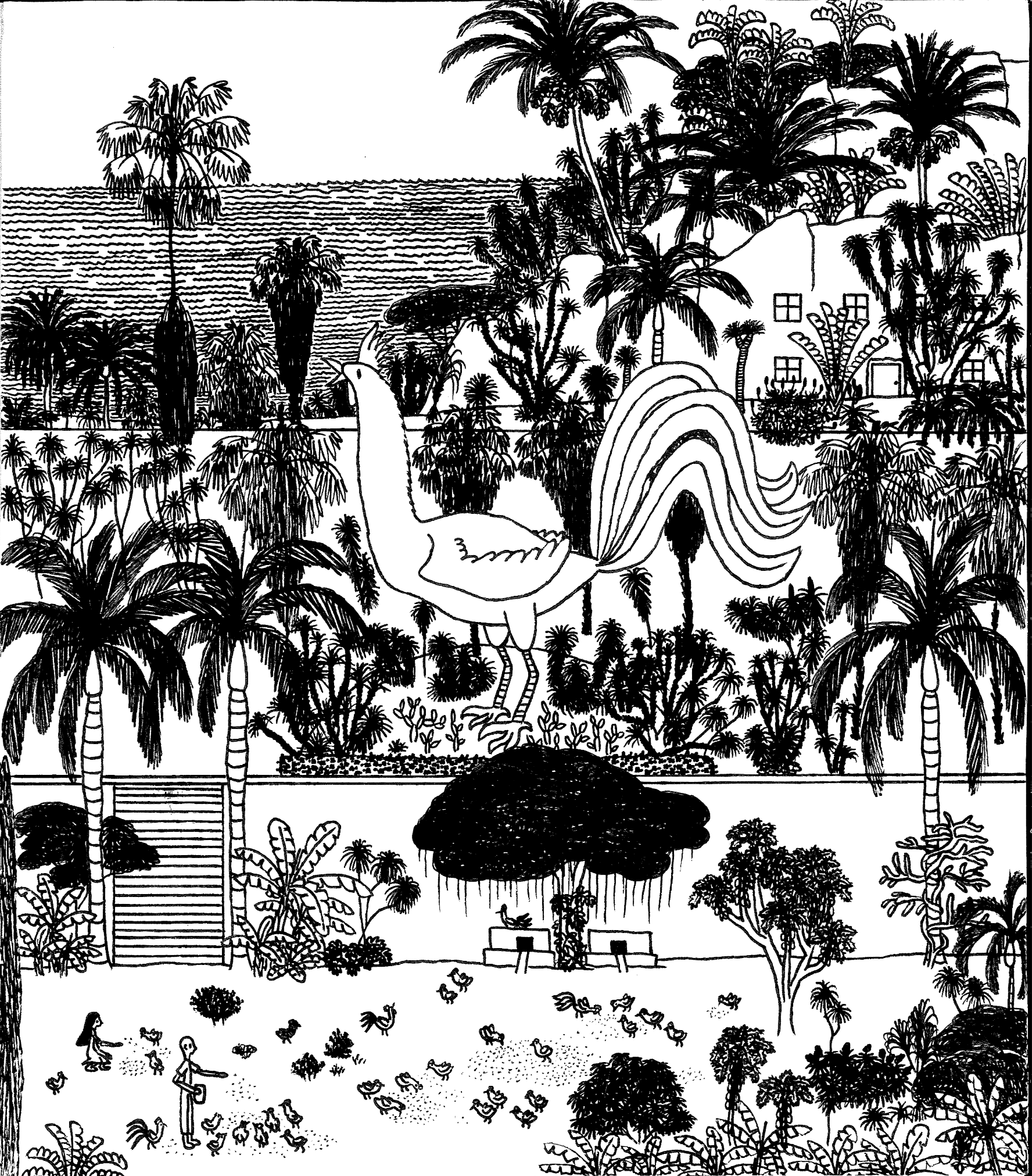The coastal chicken coop garden