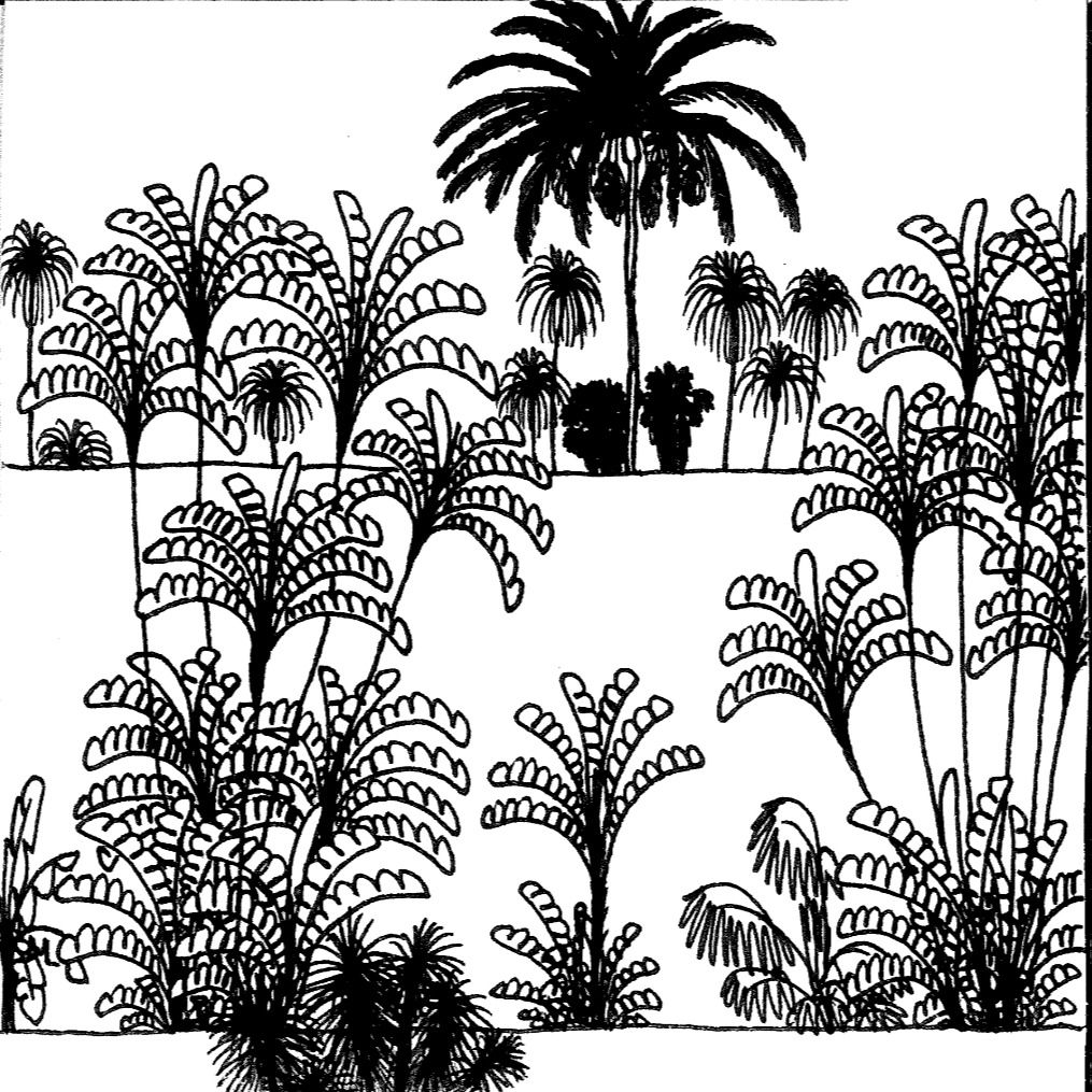 Mlaku-mlaku ing subtropis