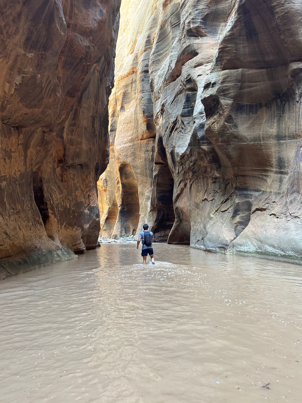Exploring on the Narrows Bottom Up Hike in Zion National Park with Braden.