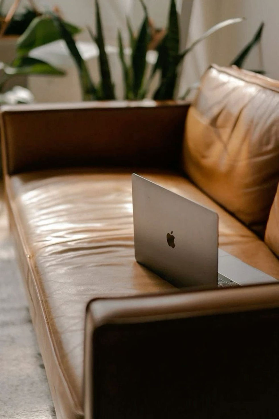 Why Exit-Ready Companies Will Win in 2026