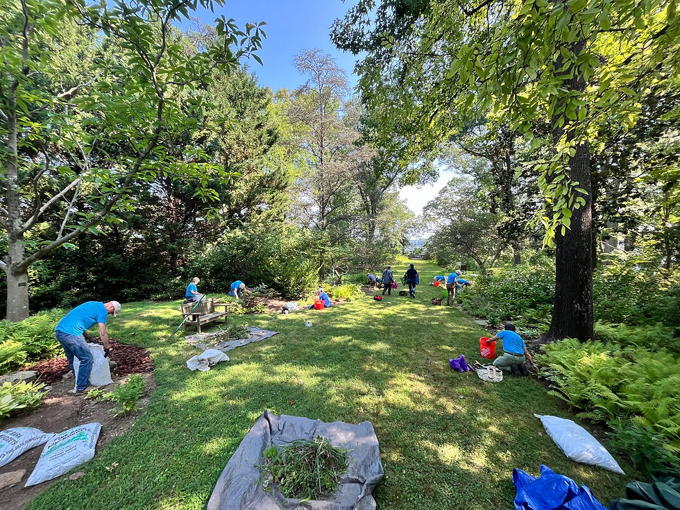 People gardening in a lush park setting, working with soil and plants. Sunlight filters through the trees on a clear day.