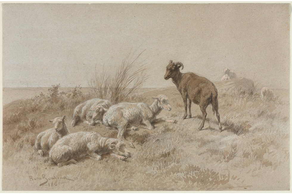 Sheep, Rose Bonheur, 1861, Cleveland Museum of Arty