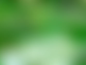 #BotanistLens: Understory veneers of a woodland garden.