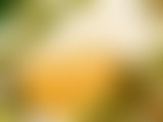 Botanist's Lens: Tea, Taxa, and Technique