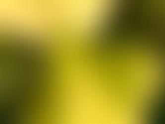Botanist's Lens: Life Sans Senescence