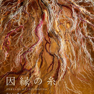 Threads of Interbeing 因縁の糸, Kayo Aiba Invitational Solo Exhibition