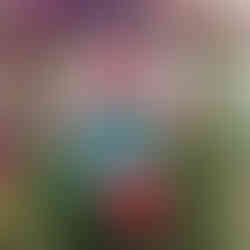 Elsa Seyed Bagheri 11, A world a thousand dreams