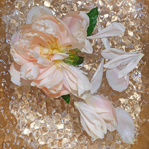 Zenakim_Baek pa sun #1(백파선#1)_60x40cm_Pigment print on Korean paper_2023
