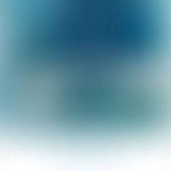 Soonok Kwun Solo Exhibition, MON AMI EGO BIRD