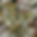 IMG_3637.jpeg
