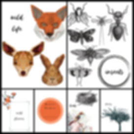 Wander Seek Explore | Free Printable | Nature Studies | DIY Nature Jornal | Homeschool Resources