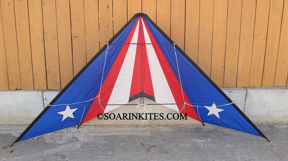 Hawaiian Team Chevron Flag