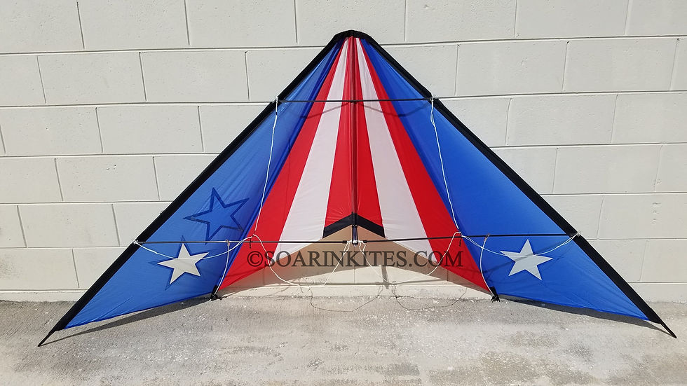 1990 Hawaiian Team Chevron Flag