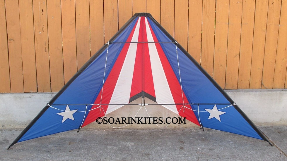 Hawaiian Team Chevron Flag