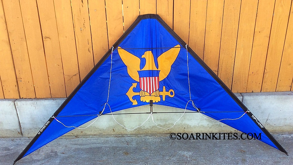 Custom Navy Spin-Off