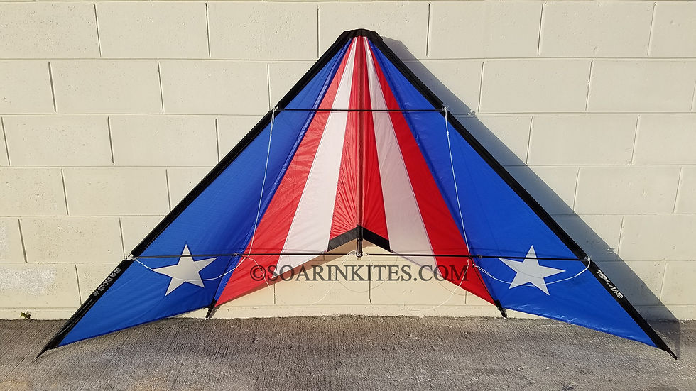 1991 Hawaiian Team Chevron Flag
