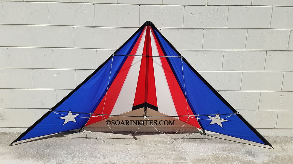 1991 Hawaiian Team Chevron Flag