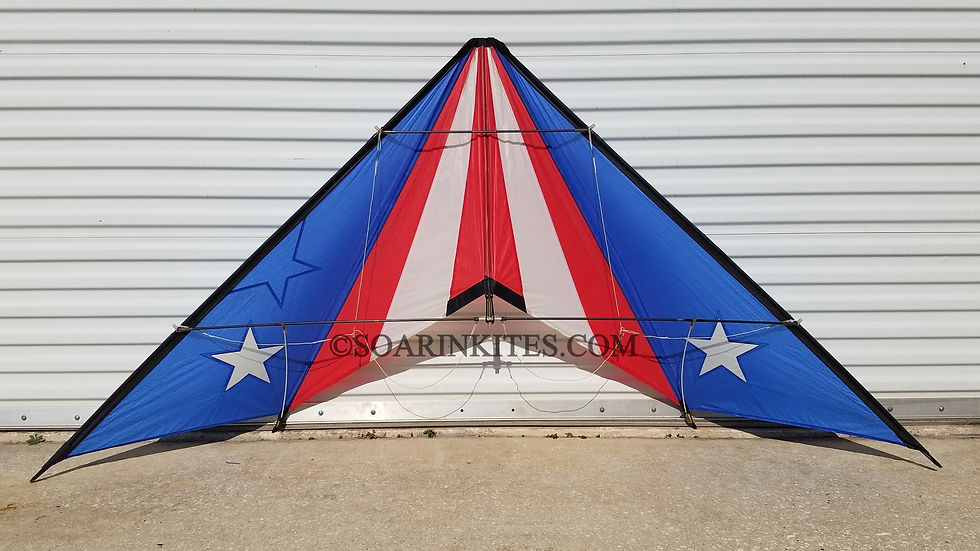 1990 Hawaiian Team Chevron Flag
