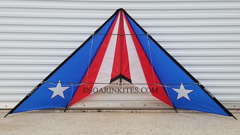 1991 Hawaiian Team Chevron Flag #5