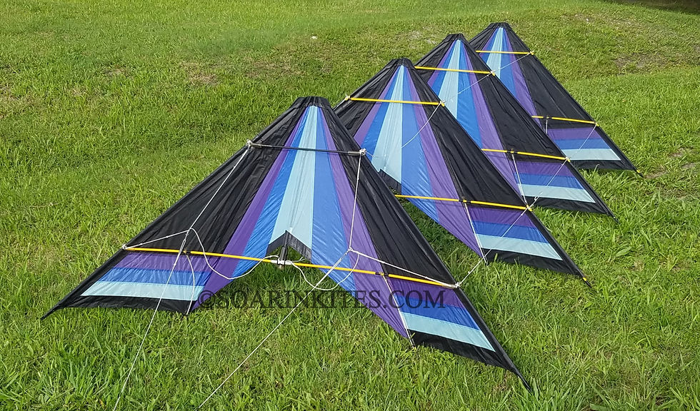 3/4 Hawaiian Chevron Train