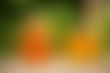 5 Proven Health Benefits of Drinking Kombucha