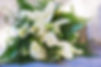 allan house wedding - ross wedding-423.j