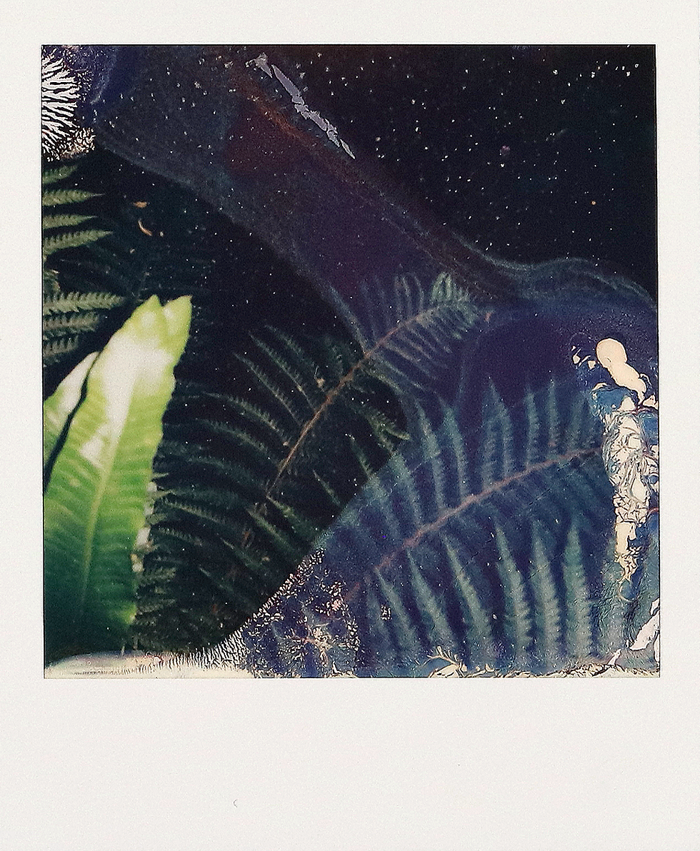 POLAROID TATTILI