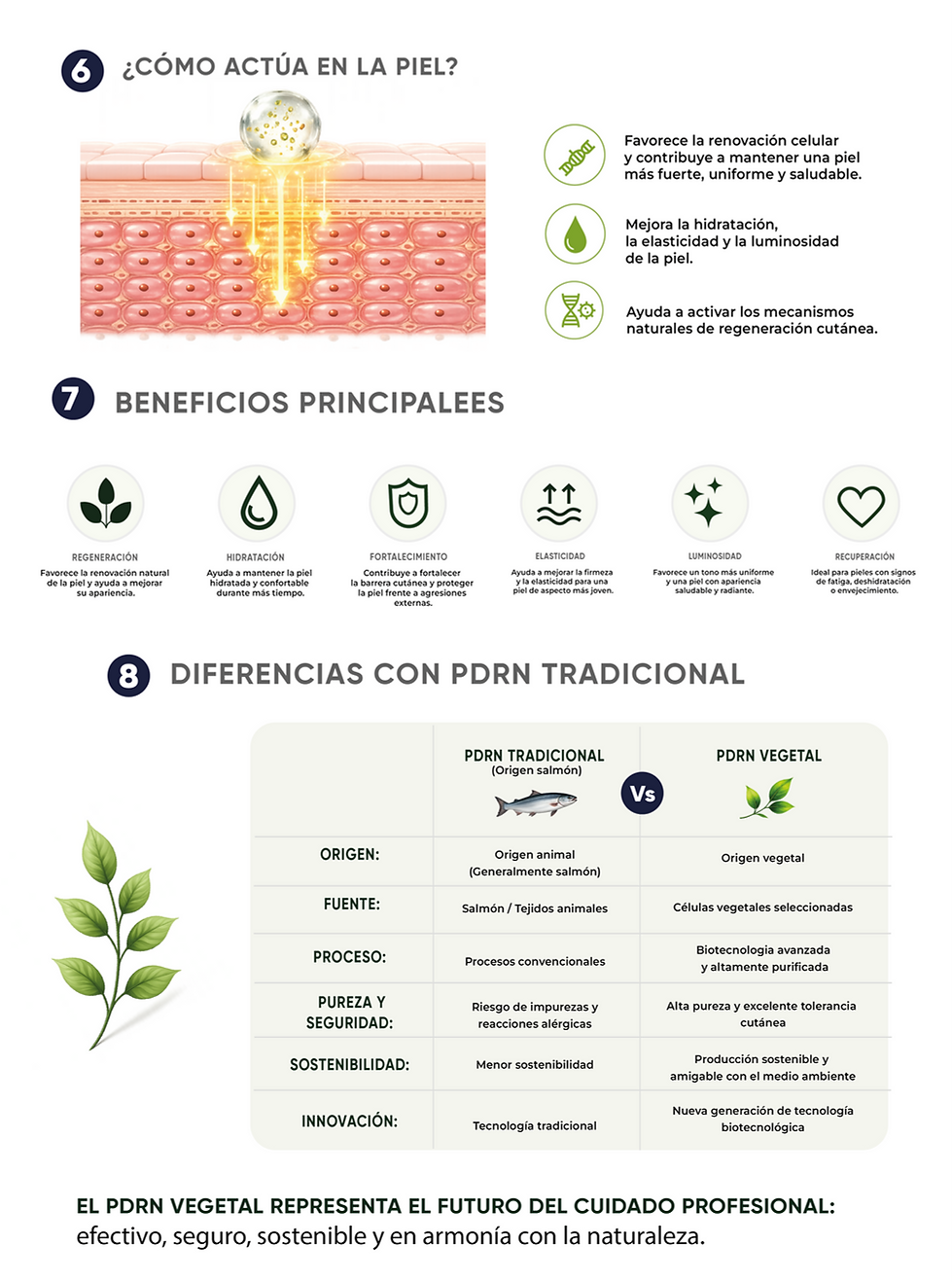 2RENUEVA PROFESSIONAL PRESENTACION-11(1).png