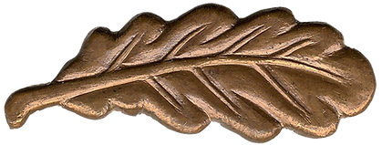 png.png