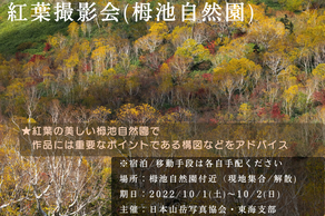 【参加募集】紅葉撮影会(栂池自然園) 東海支部 主催