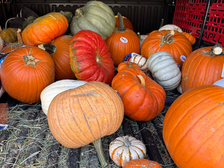 Behind the Scenes: How a Porch Gourds Display Comes Together