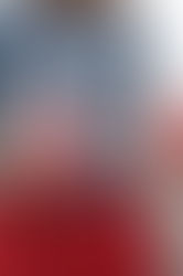 Текстильные голуби