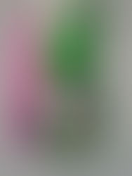 Травница миниатюра