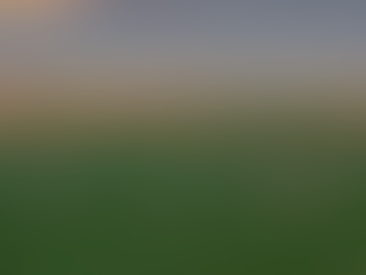 As consultation ramps up across the country, one thing is becoming clear - The Future Flock isn’t about telling producers what to do.