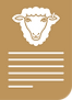 Icon_Policy.png