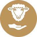 Icon_Animal Welfare Practices.png