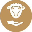 Icon_Animal Welfare Practices.png