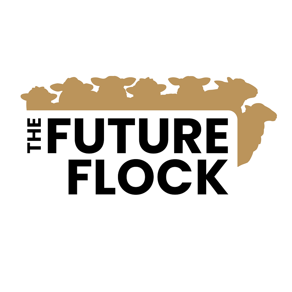 Sheep Producers Australia is pleased to announce the appointment of the National Advisory Panel for The Future Flock