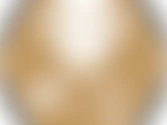 Opinion - The EU–Australia FTA: a critical opportunity to strengthen market access, at a ministerial crossroad