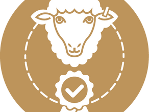 From the CEO’s Desk Why is the red meat industry talking about levy reviews?