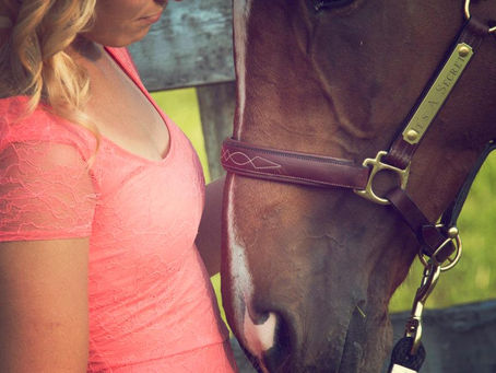 How Horses Don’t Learn Like Humans, and Why That Matters