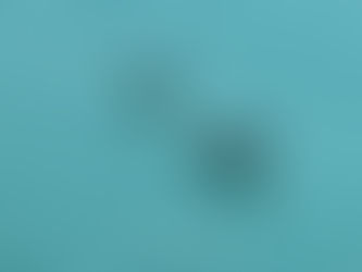 Rescate urgente en costas de Campeche.  Encuentran con vida a cuatro personas perdidas en altamar, uno es sobrino de Elíseo Fernández Montufar.