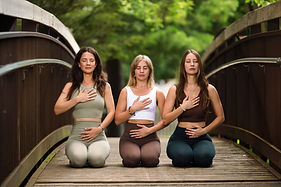 Peak-263_rt.jpg